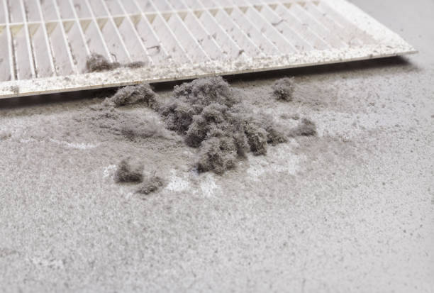 Best Dryer Vent Cleaning Services  in Waupaca, WI